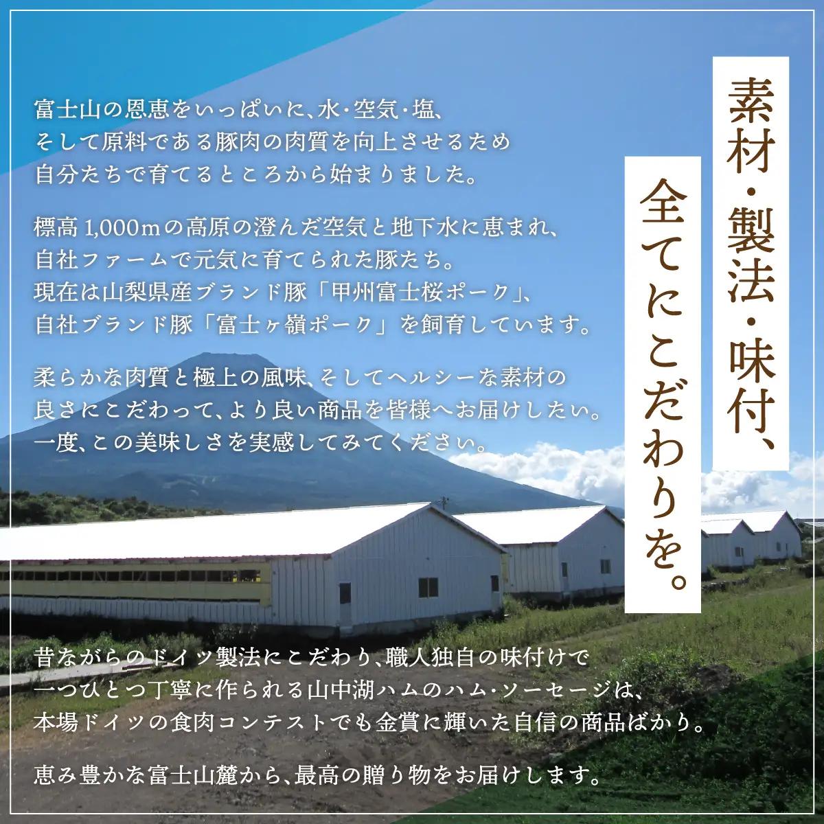 YB021 富士山ビールカレー（ちょっと辛口）6パック