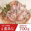 【ふるさと納税】土佐大月海産　高級アジの干物 恋あじ 700g