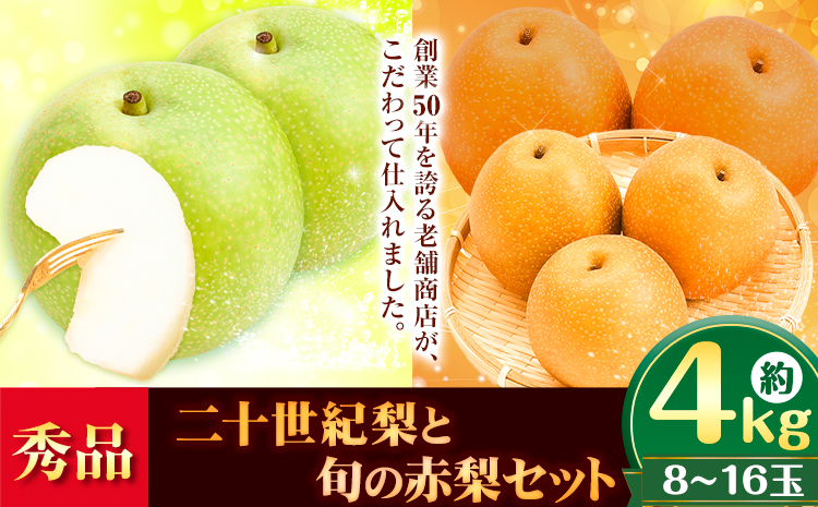 【先行予約】秀品 二十世紀梨と旬の赤梨セット 約4kg (8~16玉)《2025年8月下旬-10月上旬頃出荷》 鳥取県 八頭町 梨 なし ナシ 果物 フルーツ ギフト 先行予約 送料無料 甘い 果実 果汁 デザート