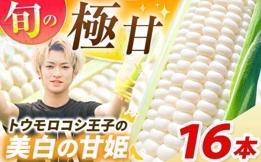 【先行予約】トウモロコシ王子の「美白の甘姫」8本×2箱 | トウモロコシ とうもろこし 甘い 白 トウモロコシ王子 プリンセス 王子 希少 おいしい 珍しい 栃木県 真岡市 送料無料