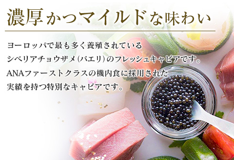 ≪数量限定≫1983 J.CAVIAR バエリ クラシック(20g)　キャビア　魚　魚介　国産_G52-22