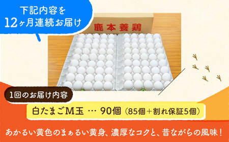 【全12回定期便】白たまご M玉 90個（85個＋5個割れ保証）【株式会社 かもと養鶏】タマゴ 玉子 熊本県 卵 国産 新鮮 しろたまご M玉 濃厚 [ZCA008]