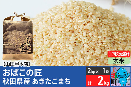 令和6年産 おばこの匠 秋田県産あきたこまち 2kg（玄米）2kg袋 秋田こまち お米