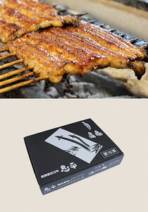 国産 うなぎ 中 3串 グルメ ブランド 冷凍 加工品 惣菜 セット お取り寄せ 真空パック 千葉県 銚子市 忠平 鰻 ｳﾅｷﾞ 鰻 ｳﾅｷﾞ 鰻 ｳﾅｷﾞ 鰻 ｳﾅｷﾞ 鰻 ｳﾅｷﾞ 鰻 ｳﾅｷﾞ 