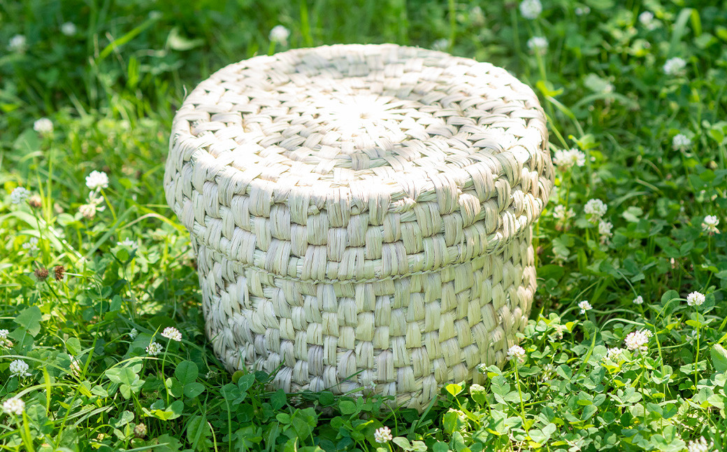 熊本県産 わらいずみ