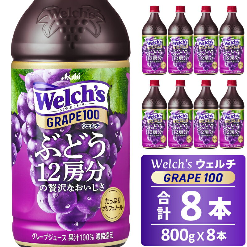 【ふるさと納税】Welch's（ウェルチ）グレープ100（800g×8本） 健康増進 総社市
