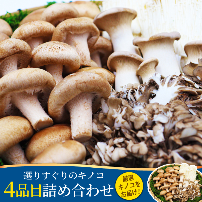 南島原産厳選きのこセット 4品目詰め合わせ / 詰め合わせ きのこ キノコ 茸 きのこセット / 南島原市 / 吉岡青果 [SCZ013]_イメージ1