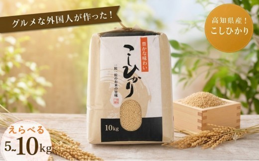 
                  選べる！ コシヒカリ [玄米] 5kg 10kg グルメな外国人 農家 が作った こだわり お米 こしひかり 2025年産 2026年産 えらべる 新米 米 国産米 銘柄米 米5kg 米10kg ご飯 コメ こめ げんまい 令和7年産 令和8年産 産地直送 一人暮らし ミネラル 豊富 期間限定 季節限定 ふるさと納税 ふるさと納税米 人気 おすすめ 高知県産 高知県 黒潮町［0940-oya］
                