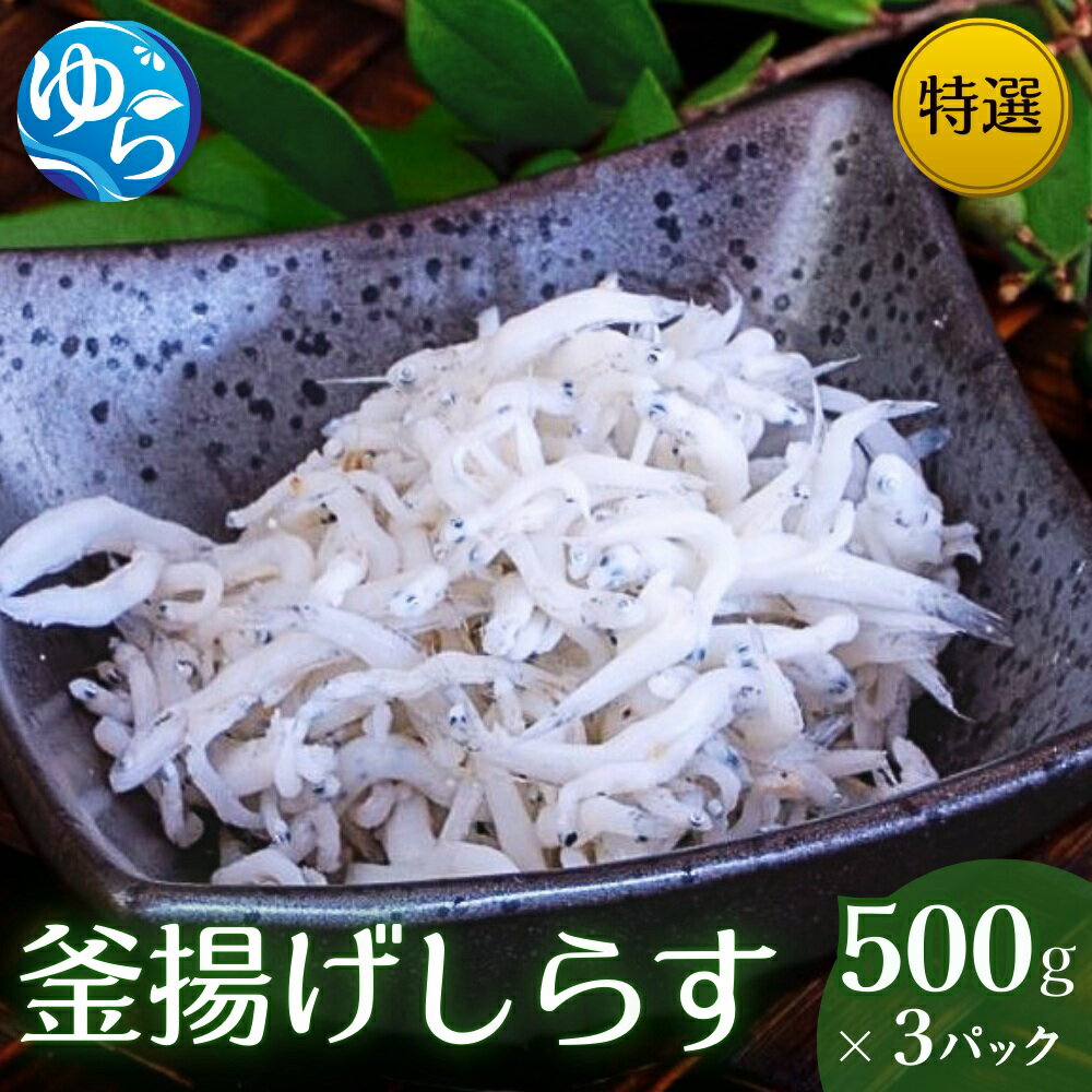 【ふるさと納税】＼レビューキャンペーン中／特選釜揚げしらす（500gパック入り×3つ） / シラス しらす丼 国産 冷蔵 プレミア和歌山認定 個包装 魚 お魚 さかな 食品 和歌山県 由良町