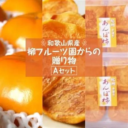 柳フルーツ園からの贈り物 Aセット_果物・フルーツ 柿（カキ）  かき  果物・フルーツ 干し柿 ドライフルーツ ほしがき ホシガキ_【1143953】