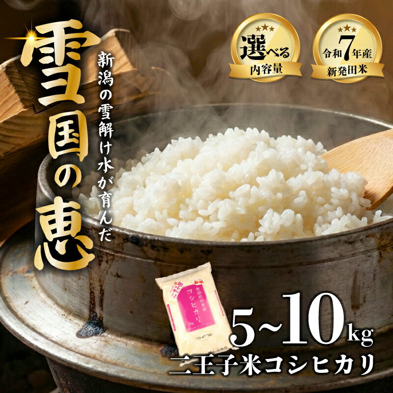 【ふるさと納税】【選べる容量】令和7年産 新潟県産 コシヒカリ 5kg 10kg 数量限定 特別栽培米 米 お米 精米 こしひかり 二王子米 精米 白米 ご飯 おにぎり 弁当 せいだ とんとん市場 ブランド米 人気米 玄米 新潟県 新発田市 seida002P