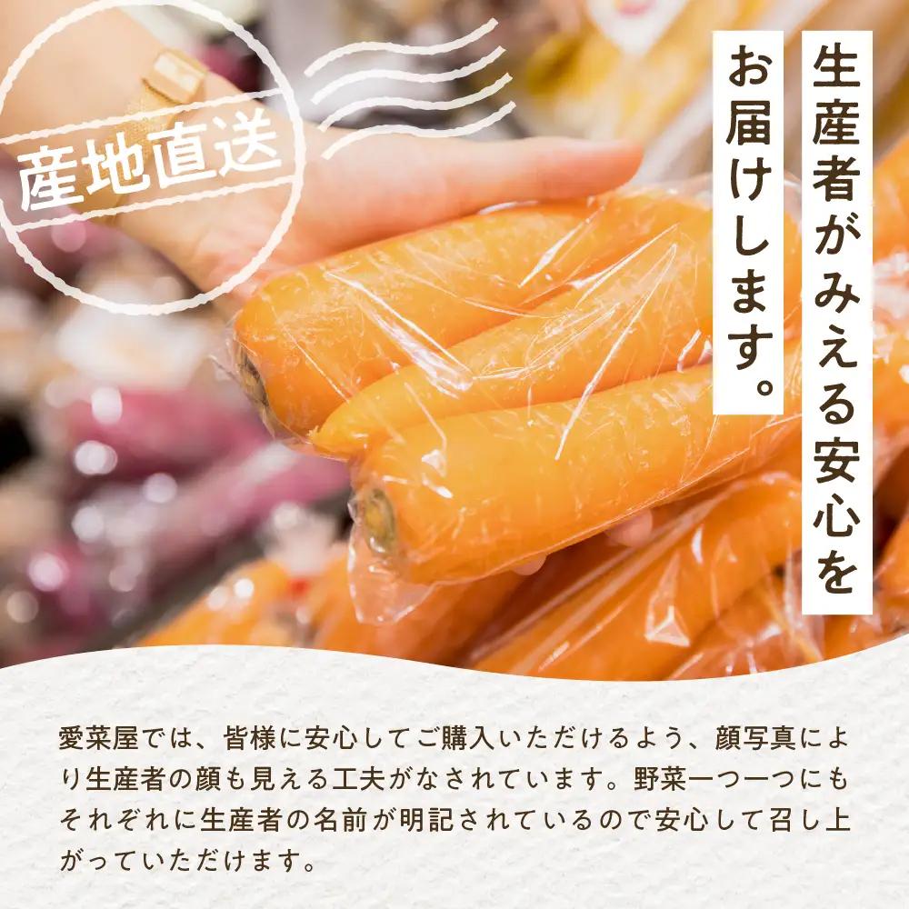 【先行受付】【2026年10月より配送予定】北海道十勝芽室町 愛菜屋のめむろごぼう5kg きんぴら 炊き込みご飯 お取り寄せ 送料無料  野菜 ごぼう ゴボウ  me002-006c 
