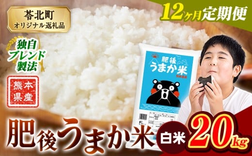 【12か月定期便】米 白米 熊本県産 肥後うまか米 20kg(5kg×4袋) 精米 こめ  コメ お米 おこめ ブレンド米《申込月の翌月から出荷開始》熊本県産  コメ お米 おこめ