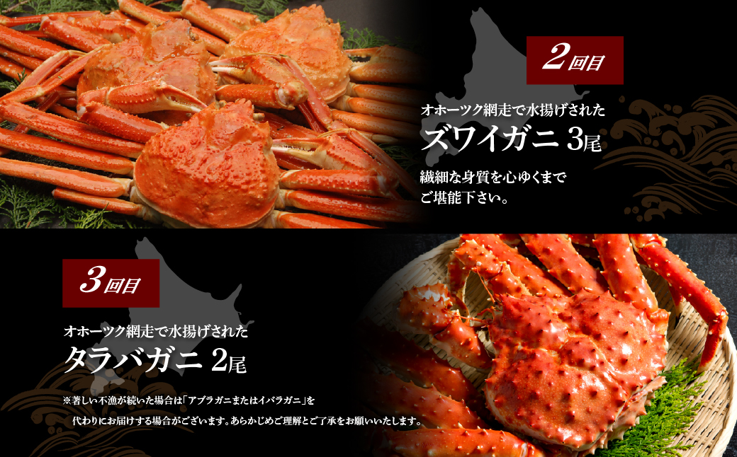 【先行予約・定期便】オホーツク美味3大蟹定期便（2027年4月より発送予定） ABAO2187