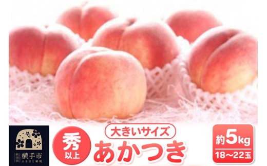 【先行受付】8月上旬より発送 横手市増田産の桃 あかつき 約5kg 秀以上 18～22玉 大きいサイズ [もも モモ 果物 フルーツ 横手産 秋田産 秋田県産 大玉]