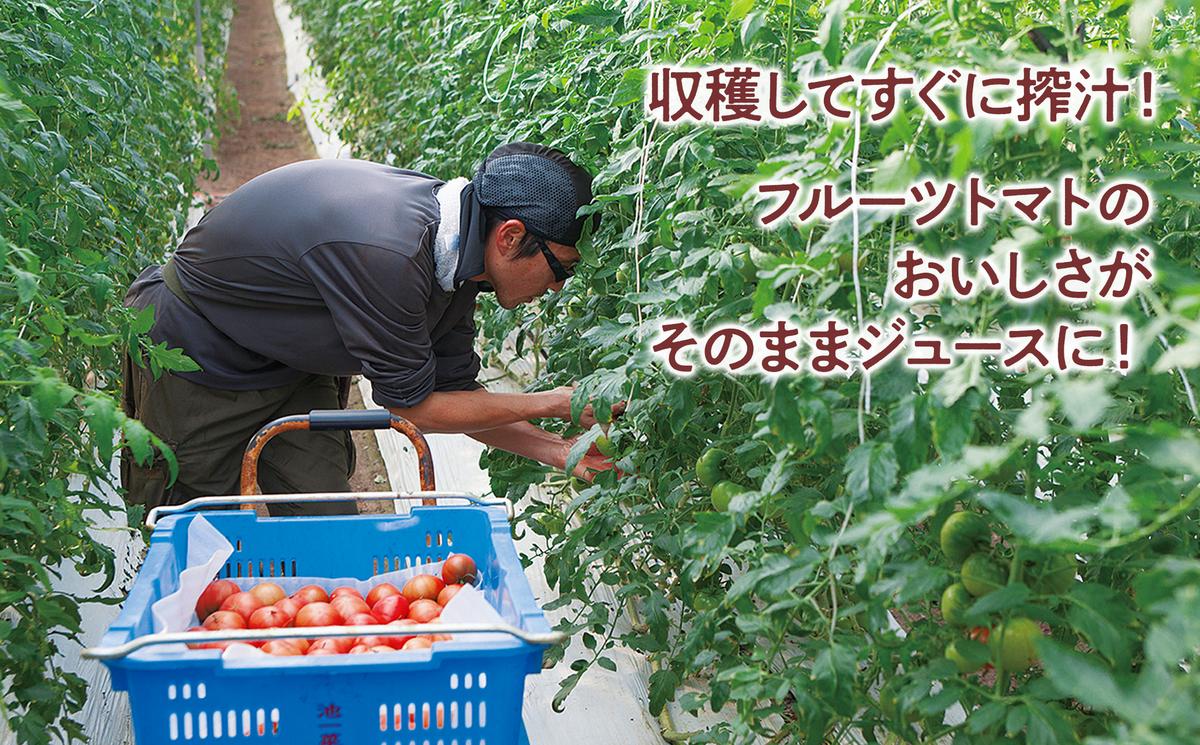 トマトジュース 無塩 無添加 毎日フルトマ（レッド100ml）12本セット 100ml × 12本入 1本に約5個分のフルーツトマト 糖度8度以上 ドリンク 飲み物【池トマト】 [BQAG003]