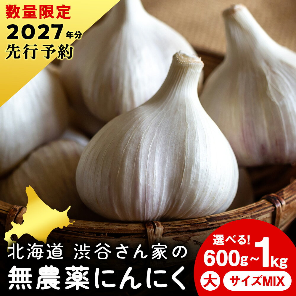 【ふるさと納税】2027年分予約【数量限定】渋谷さん家の「無農薬 にんにく」 選べる600g〜1kg 大・中・小サイズ北海道ふるさと納税 積丹町 ふるさと納税 北海道 野菜 無農薬栽培 にんにく 大蒜 無農薬野菜 通販 ギフト 贈答品 贈り物