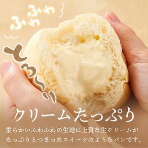 【定期便全６回】＜究極のふわとろ食感＞清水屋 生 クリームパン  12個 2種（カスタード・生クリーム） | クリームパン