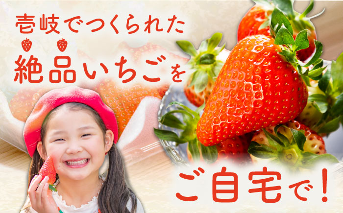 いちご イチゴ 苺 ゆめのか・恋みのり 計 1kg「ゆめ恋セット」《壱岐市》【蒼花】 [JEO001] 15000 15000円
