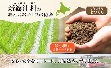 ななつぼしお米北海道産精米特Aななつぼし【5kg】