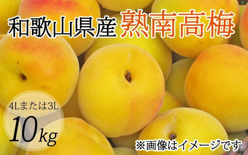
                  【梅干・梅酒用】（4Lまたは3L－約10kg）熟南高梅【2027年6月上旬～7月上旬ごろ発送予定】【ART09】
                