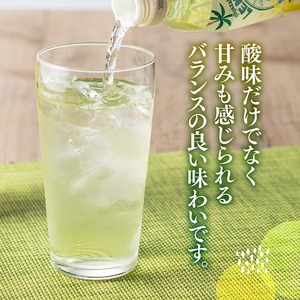 【6ヶ月 定期便 】サンA宮崎育ちのレモネード500mlＰＥＴ　24本入り×2ケース【 全6回 飲料 栄養機能食品 レモン 檸檬 マルチビタミン配合 セット ジュース PET 長期保存 備蓄 送料無料