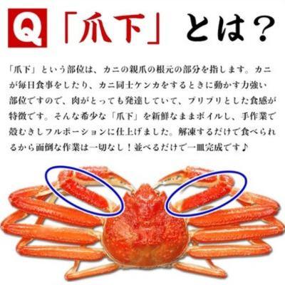 ふるさと納税 敦賀市 12/24まで年末配送 ボイルずわいがに 爪下棒肉 ポーション 業務用 1kg(40〜70本入り) |  | 02