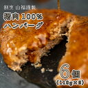 【ふるさと納税】猪肉100％ハンバーグ 6個セット(110g×6) 天然 ジビエ イノシシ しし肉 ハンバーグ 世羅 A012-04