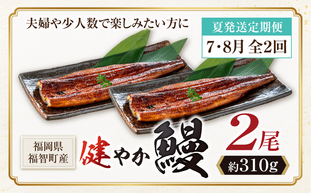 健やか鰻 国産うなぎ蒲焼(無頭)2尾(計310g以上) 定期便(夏発送・7月〜8月・全2回) 2尾 定期便(夏発送・7月〜8月・全2回)