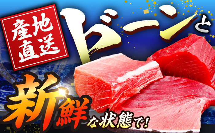 長崎県産 本マグロ「大トロ・中トロ・赤身」詰め合わせ (総量約1kg) まぐろ 鮪 さしみ 刺身 刺し身 冷凍 セット 東彼杵町/大村湾漁業協同組合 [BAK014]