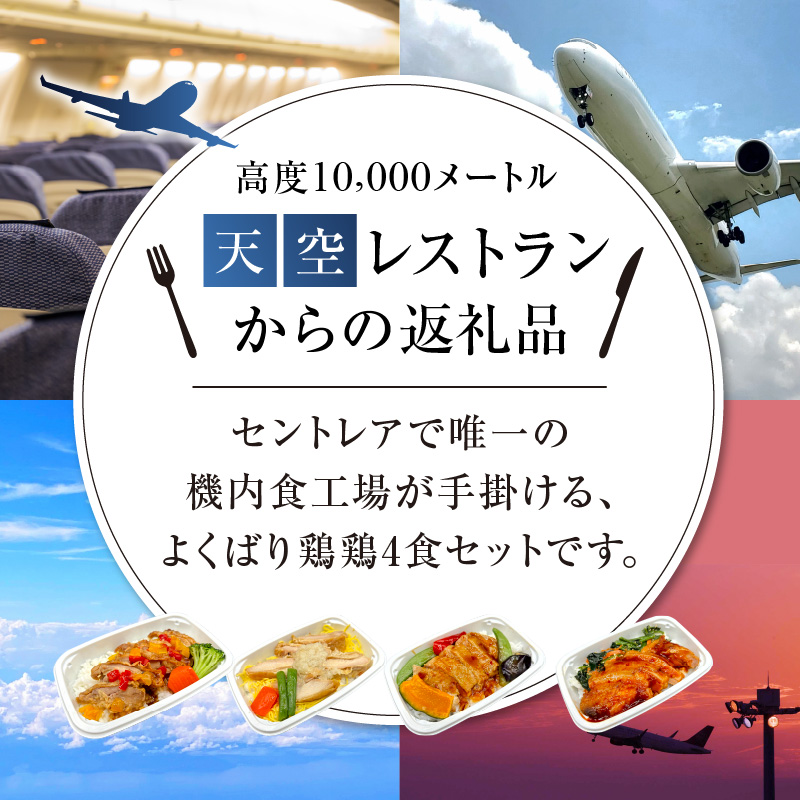 【高度10,000メートル 天空レストランからの贈物】「機内食よくばり鶏鶏セット 計4食」 お弁当 お手軽 時短料理 レンジ 冷凍食品 おかず 旅行 飛行機 機内食 H167-022