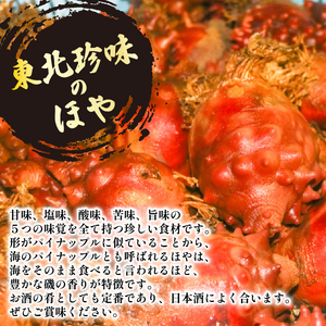 【先行予約】 殻付きホヤ 10個 ＼5月以降順次発送／