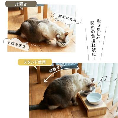 ふるさと納税 新居浜市 ペット用 フードボウルスタンドセット 国産ヒノキ 「ネコトキ」(ダブル)ペールブルー2個 |  | 01