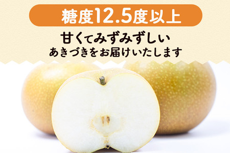 数量限定 利府梨（あきづき）5kg（10玉前後）先行受付 梨