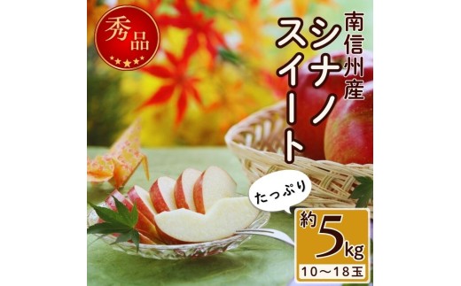 甘味たっぷり！【南信州産】シナノスイート 約5kg 10～18玉 2026年10月中旬より発送 長野県 信州 高森町 産地直送 果物 くだもの 旬のりんご りんご リンゴ りんご3兄弟 JAみなみ信州