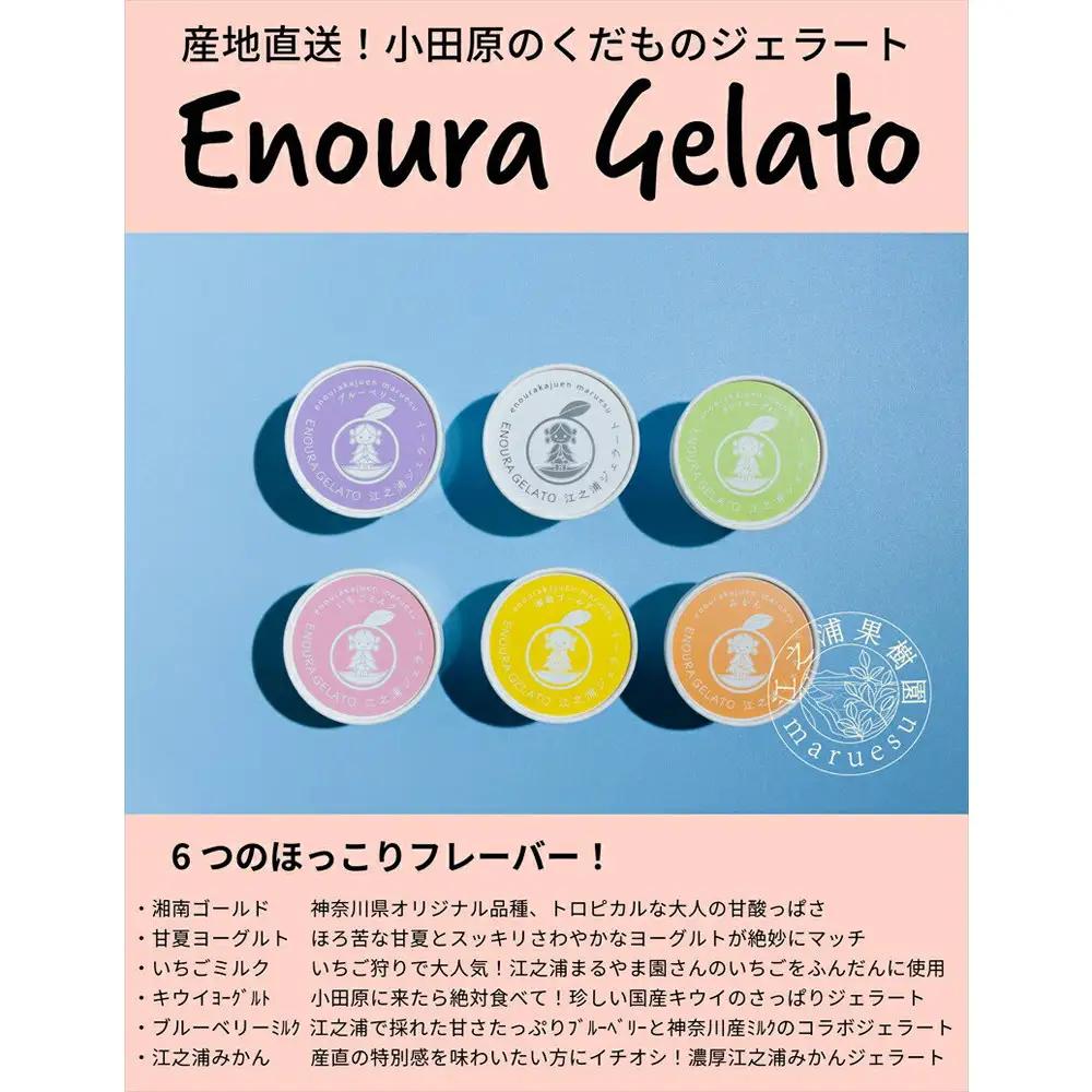 【定期便 9回】 小田原産江之浦ジェラート６種（みかん、湘南ゴールド、ブルーベリーミルク、いちごミルク、キウイヨーグルト、甘夏ヨーグルト）120mlカップ各２個合計１２個【ジェラート ジェラート 神奈