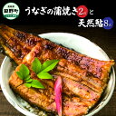 【ふるさと納税】 田野町産うなぎの蒲焼き2匹と天然鮎8匹セット うなぎ 鰻 ウナギ 国産 高知県産 蒲焼 かばやき たれ 山椒 鮎 あゆ アユ 塩焼き 焼き魚 魚 さかな 川魚 冷凍 配送 セット 詰め合わせ 真空パック グルメ 食べ物 食品 高知 ふるさとのうぜい 故郷納税