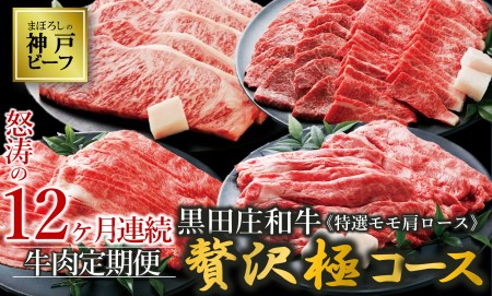 神戸牛 12回定期便 モモ肩ロース 冷蔵
