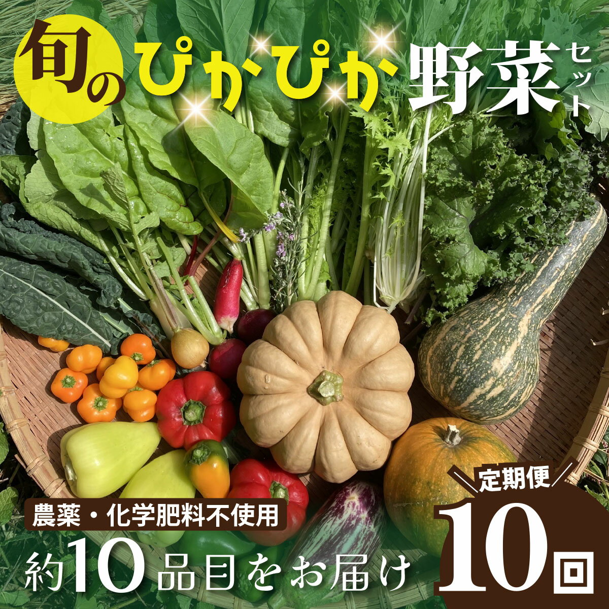 【ふるさと納税】農薬化学肥料不使用 雲の上ガーデンのぴかぴか野菜セット（10回お届け）季節にあわせて10品目前後を毎月お届け【L003】季節 旬 詰め合わせ 採れたて 新鮮 産地直送 高知県産 冷蔵便 定期便