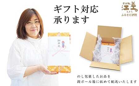 五勝手屋本舗『丸缶羊羹』5本セット　金時豆のようかん　保存料不使用　五勝手屋羊羹の老舗　和菓子　銘菓　名物　贈答用　ギフト