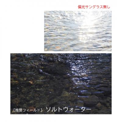 ふるさと納税 三条市 [ベルモント] 偏光グラス Soleil ブルーグレー(木目) マゼラン【088S009】 |  | 02