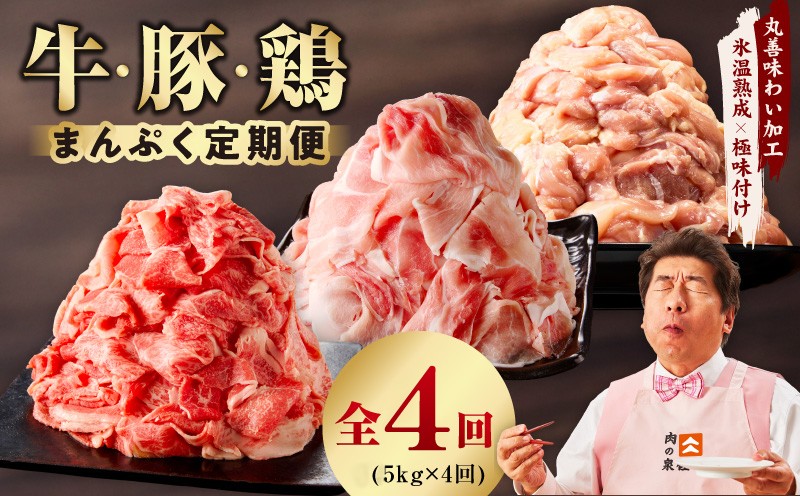 国産 牛肉＆豚肉＆鶏肉 まんぷく 定期便 5kg×4回【氷温熟成×極味付け 3種 食べ比べ 普段使い 味付き 小分け 訳あり サイズ不揃い  大阪 泉佐野 大阪府 泉佐野市】