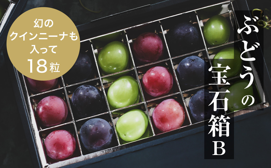 
『ぶどうの宝石箱B』(3品種)＜2025年9月より順次発送/ふるさと納税限定/数量限定＞【1458789】
