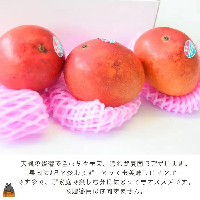 ≪今が旬！≫【家庭用】徳之島センチュリー果樹園さんの完熟マンゴー1kg（2～3玉）( マンゴー フルーツ わけあり 訳あり 訳有 果物 徳之島 )