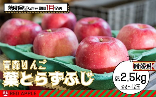 りんご 【 1月発送 】 13度糖度保証 贈答用 葉とらず ふじ 約 2.5kg 【 弘前市産 青森りんご  果物類 林檎 リンゴ  】