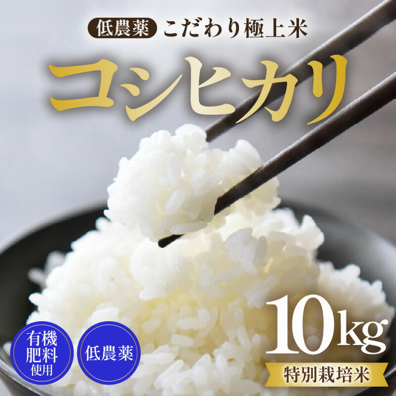 【ふるさと納税】【先行予約】【令和8年産 新米】特別栽培米 コシヒカリ 10kg 低農薬 《食味値85点以上！こだわり極上米》 / 福井県 あわら 北陸 米 お米 人気 高品質 鮮度抜群 新米 ※2026年9月上旬より順次発送