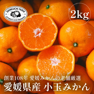 愛媛みかんの老舗厳選【小玉 みかん2kg】新口農園【B70−75】【1622614】