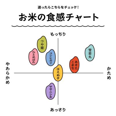 ふるさと納税 大石田町 新米 米 令和7年産 つや姫 玄米 20kg 5kg×4袋 順次発送 ap-tsgxa5x4 |  | 02