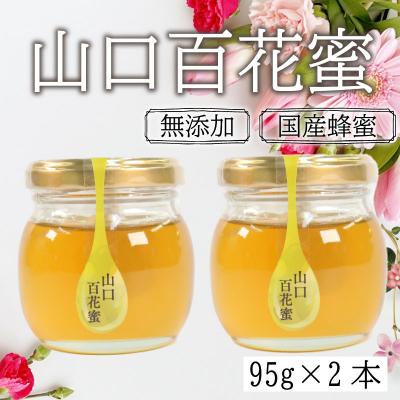 ふるさと納税 下関市 はちみつ 蜂蜜 国産 山口 百花蜜 190g 95g 2個 下関 ES104-x