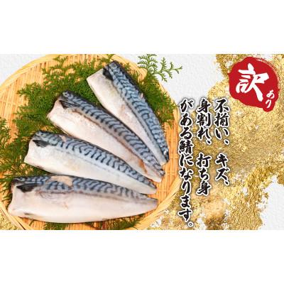 ふるさと納税 銚子市 訳あり　適塩さば　約5kg |  | 01